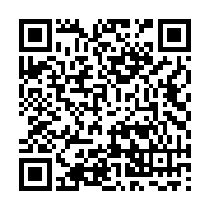 如今我长河中枢确实接到了抵抗天之境入侵的命令二维码生成