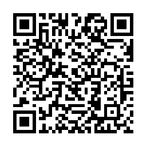 如今方才明白原来今天是他们每半月一次的联合坐诊二维码生成