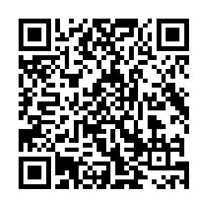 如今早已长出了繁盛的草木――几个人根本没有下脚之处二维码生成