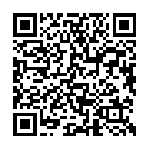 如今最负盛名的机甲设计师王博也是从天元毕业二维码生成