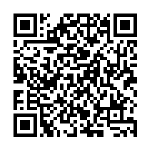 如今有资格同齐王争夺皇位的皇子王爷都在这次随驾中二维码生成