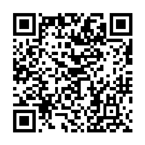如今朝中让恪王在边关受降鞑靼人的呼声可比让我去的高二维码生成