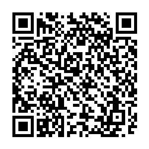 如今炼器城内四处都在讲诉着你从世俗界一步一步地走到现在的传奇经历二维码生成