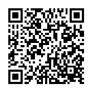 如今生存在北欧联盟那边的血族以及狼族全部都出动了二维码生成