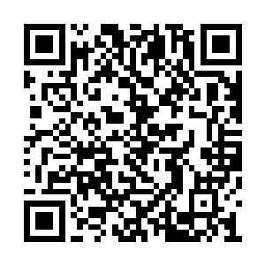 如今的列岛已经没有了几十年前悍不畏死的凶性二维码生成