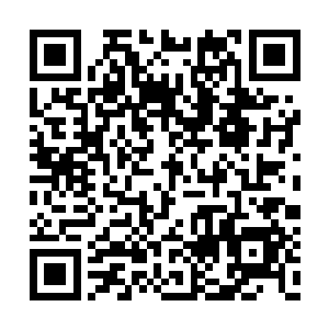 如今的许紫烟在魁天面前恐怕连一只蝼蚁都不如二维码生成