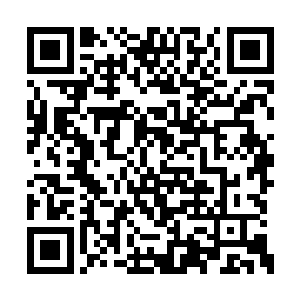 如今的这些人对于人才的追求是越来越渴望了呀二维码生成