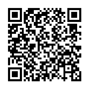 如今竟是在缓缓的追及其他三道上位真神制作的神明法旨二维码生成