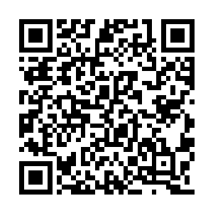 如今竟是被一个小小的神级巅峰问一句敢不敢战二维码生成