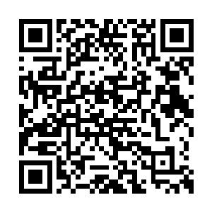 如今见二叔转而开始介绍起弟媳妇任小媛的家人二维码生成