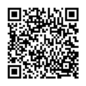 如今许紫烟已经知道在百族时代有着一个种族叫做噬金族二维码生成
