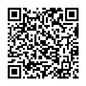 如今许紫烟虽然不知道眼前这棵插天巨树究竟是什么二维码生成