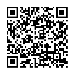 如今这火龙竟然散发出了一丝仙婴期天仙的气息二维码生成