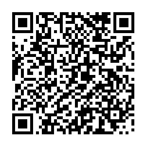 如今那县丞正押着大公子和通判大人的五公子王力建正在来温桥府的途中二维码生成