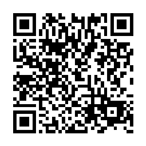 如今鹏云星界联盟兵团作战副参谋官要亲自过来二维码生成