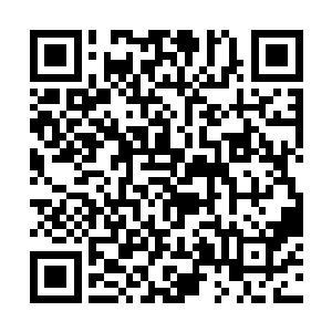 如何在节省时间的情况下讲蓝色水晶球的利润最大化二维码生成