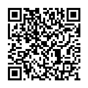 如同出膛炮弹的绿色拳影忽然在半空中变幻形状二维码生成