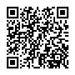 如同我小时候想要永远的留在我的母亲身边一样二维码生成