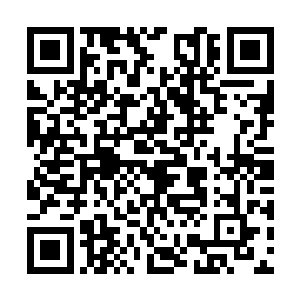 如同抱着整个世界一般珍而重之地将孩子搂入怀中二维码生成