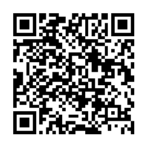 如同敝履粪土一般散落在黑龙殿外四面八方的地面上二维码生成