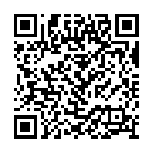 如同虎入羊群般的冲向另外包围他的九个黑袍人二维码生成