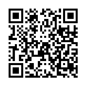 如同被两块大石头磨盘碾压的两颗栗子二维码生成