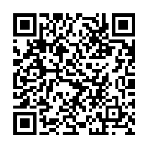 如同高山仰止一般的存在的她的同门师兄一一司徒二维码生成