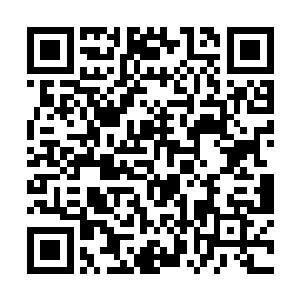 如当初的紫千幻一般认出了面前神情淡然尊雅的暗夜二维码生成