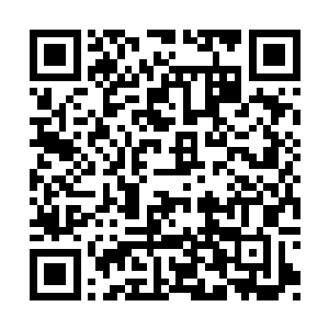 如打桩一样开始朝着柳生宗一门的方向连续击打二维码生成