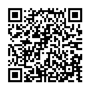 如春天到来时山坡上那漫山遍野的野花一样的美好……二维码生成