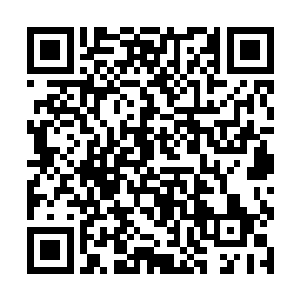 如果……如果你将来遇到一个拿着雨伞的瘦高的男人二维码生成