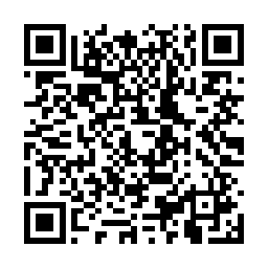 如果一人肩膀上没有一只海东青都不好意思去见人二维码生成