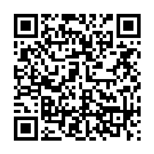 如果不发展丧尸让这个世界抹上一层长生种的印迹二维码生成