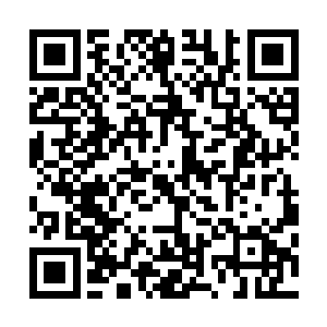 如果不吃点亏根本不会将他这个小小的镇南王世子看在眼里二维码生成