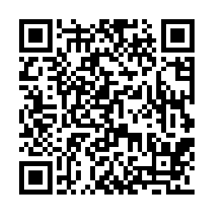 如果不是之前苏落用了大道之音阻扰了它们一下二维码生成