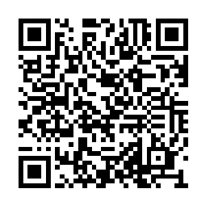 如果不是他们好不容易才求来这么一位新生大巫二维码生成