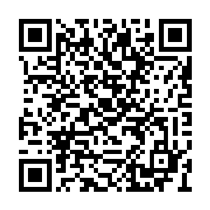 如果不是你憋不住在她面前暴露出那娘仨的消息二维码生成