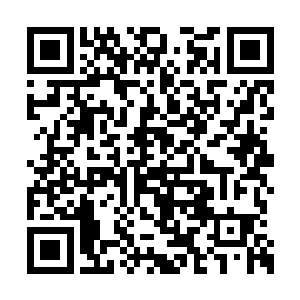 如果不是你说亚马逊野人的味道比普通人类更好二维码生成