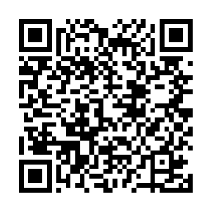 如果不是初来乍到的修士也不会买这种比较粗浅的典籍二维码生成