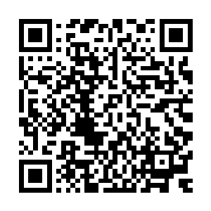 如果不是因为宇宙魔池的崩溃而导致巫师自身承受不住了的话二维码生成