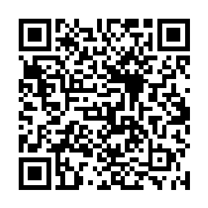 如果不是地上分身发现了烛龙亚圣轻骑突进的紧急支援二维码生成
