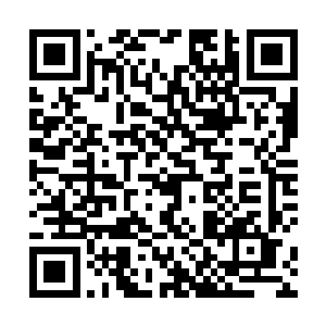 如果不是她故意用一个分身法术引开了梅迪尔丽的注意二维码生成