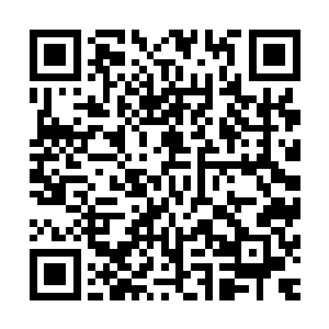 如果不是希望之城城头有秩序火种的光芒抵消了一部分的龙威二维码生成