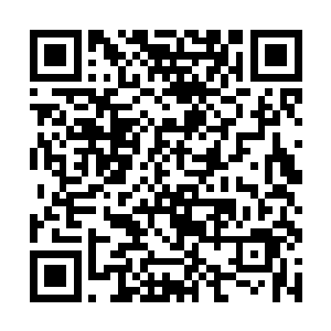 如果不是战天宗非得让我们将杨欣带入混乱皇城的话二维码生成