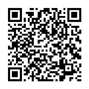如果不是提升境界等级可以让更多的大荒门长老弟子们能够在二维码生成