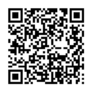 如果不是有其他人把一模一样的书包放在这里的话二维码生成
