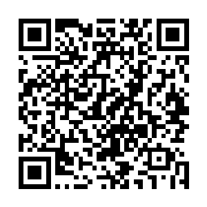 如果不是牛局长专门叮嘱必须要见到陆为民本入把请柬送到二维码生成