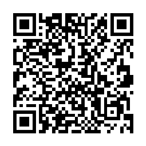 如果不是狗熊一家三口总是警惕的看着他藏身的那个地方二维码生成