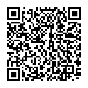 如果不是看到王九九介绍自己的时候他和那个眼镜男的表情都有点儿古怪的话二维码生成