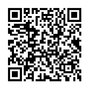 如果不是眼前的许紫烟生得和影像中的一模一样二维码生成